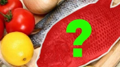Việt Nam có 1 loại cá mệnh danh là "gà nước", thịt thơm ngon lại là “thuốc đại bổ” xương khớp