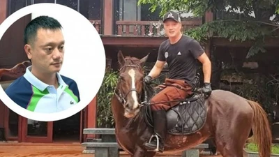 Cuộc sống xa hoa ngày ngày cưỡi ngựa thăm vườn cam rộng 34ha của ông trùm Vi “ngộ”