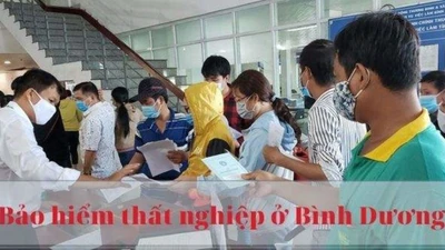 Yêu cầu Bình Dương thu hồi 6,1 tỉ đồng trợ cấp thất nghiệp chi sai