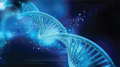 Người lành mang gene bệnh
