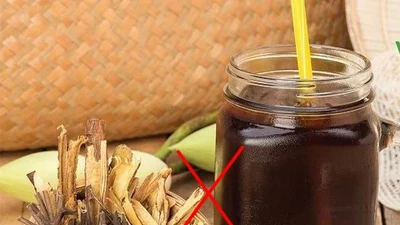Uống nhân trần và những đại kỵ để tránh sinh bệnh