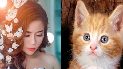 3 con giáp được Ngọc Hoàng mở hầu bao sủng ái, tiền bạc chạm đỉnh