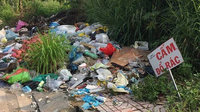 Hà Nội sẽ phạt gấp đôi hành vi vi phạm môi trường và đất đai
