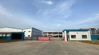 Công ty TNHH P&F Brothers Việt Nam vi phạm môi trường