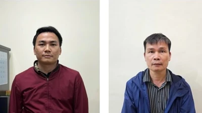 Giám đốc Công ty Khoáng sản Thiên An Phát bị khởi tố, bắt tạm giam