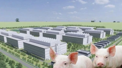 Hai đại gia Việt muốn đưa lợn lên ở "chung cư" có tiềm lực thế nào?