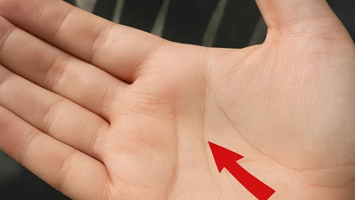 2 đường tài lộc trên bàn tay, ai có không lo thiếu tiền 