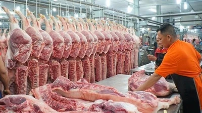 Giá heo hơi tiếp tục giảm mạnh