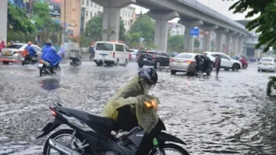 Những loại thuốc không thể thiếu trong ngày mưa bão