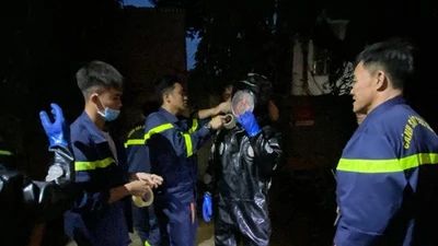 Hãi hùng với tổ ong vò vẽ dài 1 mét ở trung tâm TP HCM