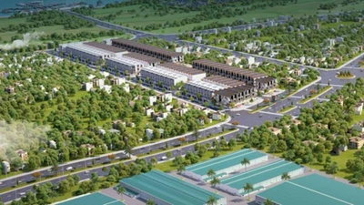 Biết gì về Công ty Long Gia An vừa bị phạt nửa tỷ đồng?