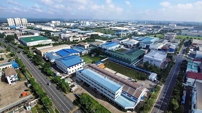 Công ty DNP Holding bị phạt 320 triệu vì vi phạm môi trường