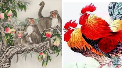 Bốn con giáp có vận may lớn vào các ngày 23-24-25 tháng11