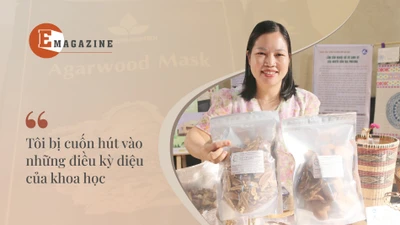 [e-Magazine] TS Nguyễn Thị Hồng Gấm: Mê tạo trầm hương từ chế phẩm sinh học
