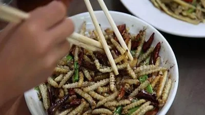 “Đặc sản” rùng rợn từ sâu, nhiều thực khách sợ nổi da gà