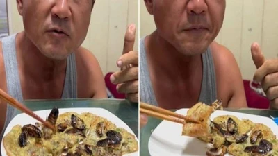 Kinh hãi các món ăn chế biến từ gián
