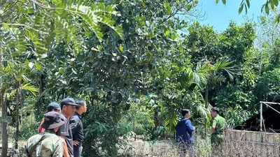 Đắk Nông: Điều tra vụ hai người đàn ông tử vong bất thường dưới ao nước nông