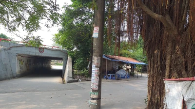 Mở rộng đường cần chú trọng việc di dời cột điện