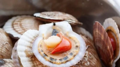 6 loại hải sản tươi ngon, bổ dưỡng rất hợp chiêu đãi gia đình dịp nghỉ lễ