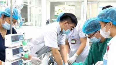 Nguy kịch sau khi ăn tiết canh, lòng lợn ở quán quen