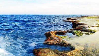 Kỳ thú rạn san hô cổ hóa thạch trên cạn