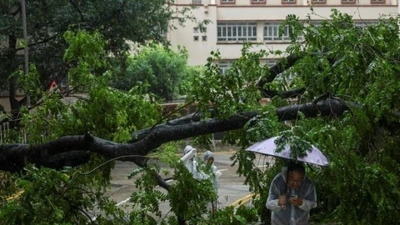 Ảnh: Thiệt hại ở Trung Quốc khi bão Wipha đổ bộ