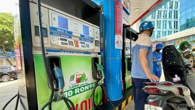Xăng sinh học E10 có làm hư hại xe như lời đồn?