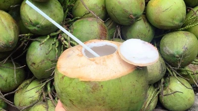 Dừa tươi tăng giá gấp đôi vì nắng nóng