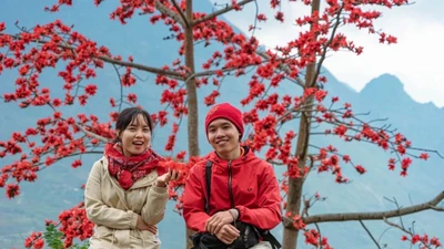 Hoa gạo Hà Giang hút du khách dịp tháng 3