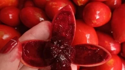 Việt Nam có 2 thứ quả đỏ như máu, nhiều người nhầm lẫn, giá bán khác nhau "giật mình"