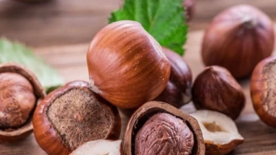 Thứ hạt có từ thời đồ đá, giống hệt hạt dẻ nhưng giá đắt gấp 10