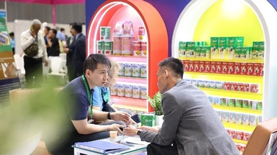 VINAMILK quý 3/2024:doanh thu nội địa nỗ lực “vượt” bão YAGI