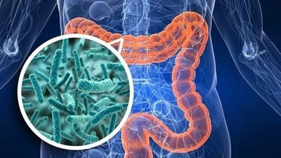 Kinh ngạc vi khuẩn thần thánh giúp con người sống thọ 100 tuổi