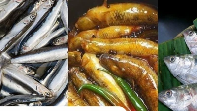 3 loại cá “nhỏ mà có võ” cực giàu canxi, tốt cho xương khớp