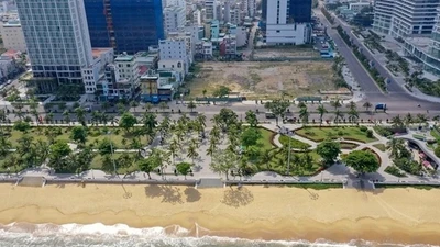 Khu “đất vàng” gần 11.000m2 ở Bình Định chuẩn bị lên sàn đấu giá