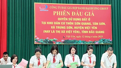 Đấu giá thành công 116 lô đất ở Bắc Giang, thu về 220 tỷ đồng