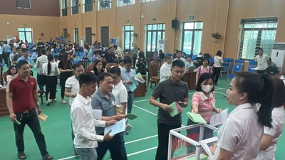 Bắc Giang đấu giá thành công 100 lô đất, thu hơn 338 tỷ đồng