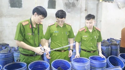 Phát hiện 3.500 tấn giá đỗ ngâm hóa chất ở Nghệ An