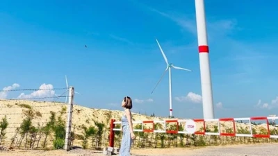 Lạc lối giữa vẻ đẹp của cánh đồng điện gió Phương Mai