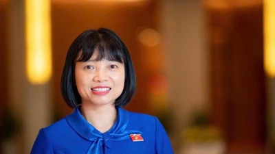 Giải bài toàn miễn học phí cho học sinh từ mầm non đến THPT 