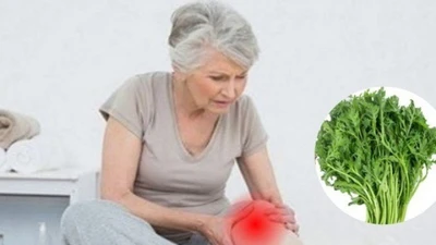 Loại lá mọc hoang đầy vườn nhưng là “khắc tinh” của bệnh xương khớp