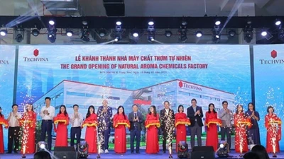 THD Travel & Event – chuyên gia tổ chức du lịch và sự kiện cho doanh nghiệp