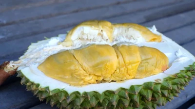 Giống sầu riêng mới đang tạo cơn sốt toàn châu Á đắt cỡ nào?