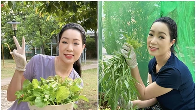 Khám phá vườn rau xanh mướt trong biệt thự của NSND Trịnh Kim Chi