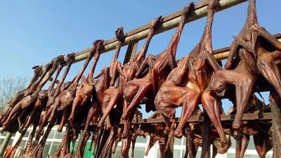 Hé lộ sự thật đằng sau món gà hong gió đại gia đua nhau ăn