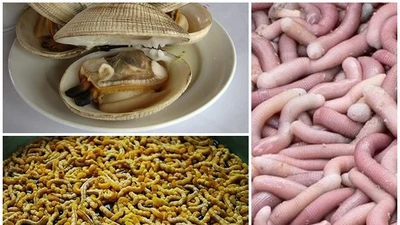 3 đặc sản ví như “thần dược phái mạnh” tiền triệu vẫn hút khách
