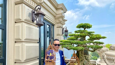 Thú chơi đắt đỏ của đại gia chi tiền tỷ “tậu nhà” cho chim