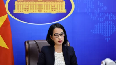 Yêu cầu Trung Quốc rút tàu cá khỏi vùng biển của Việt Nam