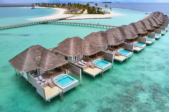 Nghệ sĩ nhào lộn Orissa Kelly từng bay ra Maldives để biểu diễn cho hoàng tử của một nước Trung Đông. Bữa tiệc kéo dài 1 tuần liền. Vị hoàng tử này đã chi 20 triệu USD để tổ chức với sự đầu tư vào những tiết mục công phu.