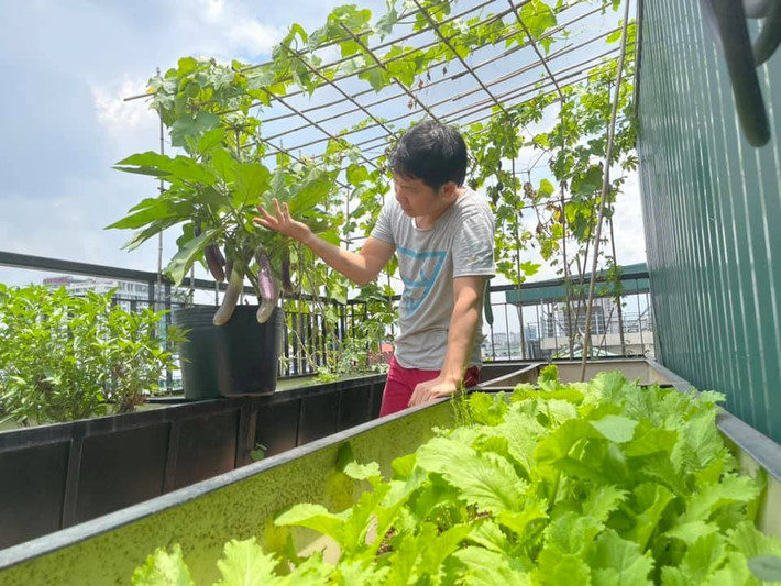 Nhờ chăm sóc kỹ, cây cối trong vườn đều xanh tốt và ít sâu bệnh. Nguồn ảnh; FBNV